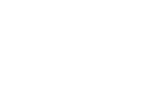 Inside the Bottle